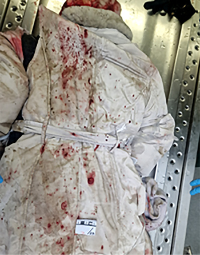 The image shows several recurring dark stains or marks of earth on a lighter coat surface. These stains are arranged in a regular pattern resembling a tyre tread pattern. The pattern may be interpreted as a possible tread print of the vehicle tyre.