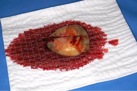 A piece of food with red liquid on it.
Description generated by AI
