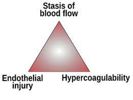 A red triangle with a black background.
Description generated by AI