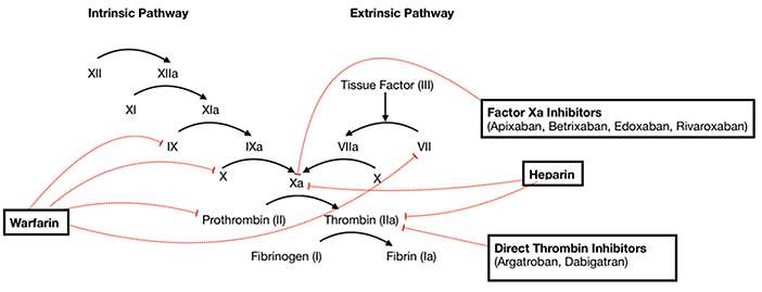 A diagram of a cell with a red line going through it.
Description generated by AI