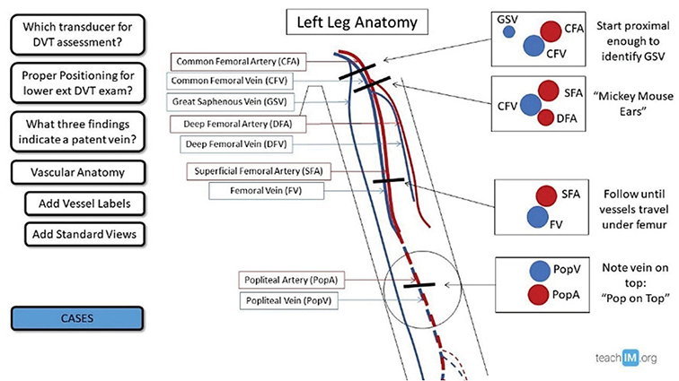 A diagram showing the different stages of a medical procedure.
Description generated by AI