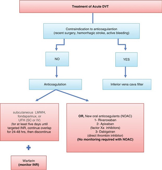 A flow chart with a red background and blue text describing the treatment of acute DVT.
Description generated by AI