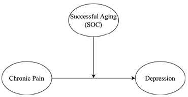 [Figure 1 presents a theoretical moderation model illustrating the proposed relationships between chronic pain, successful aging (SOC), and depression. In this model, chronic pain is depicted as an independent variable influencing depression as the dependent variable. Successful aging, represented by the Selection, Optimization, and Compensation (SOC) model, acts as a moderator. The direct path from chronic pain to depression suggests an association between pain and depressive symptoms. The additional path from successful aging to the relationship between chronic pain and depression suggests that SOC may moderate the association between chronic pain and depression. This conceptual framework serves as the basis for investigating the moderating role of successful aging strategies in the relationship between chronic pain and mental health outcomes.]
